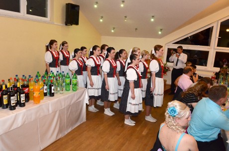 VSJ_3373.jpg